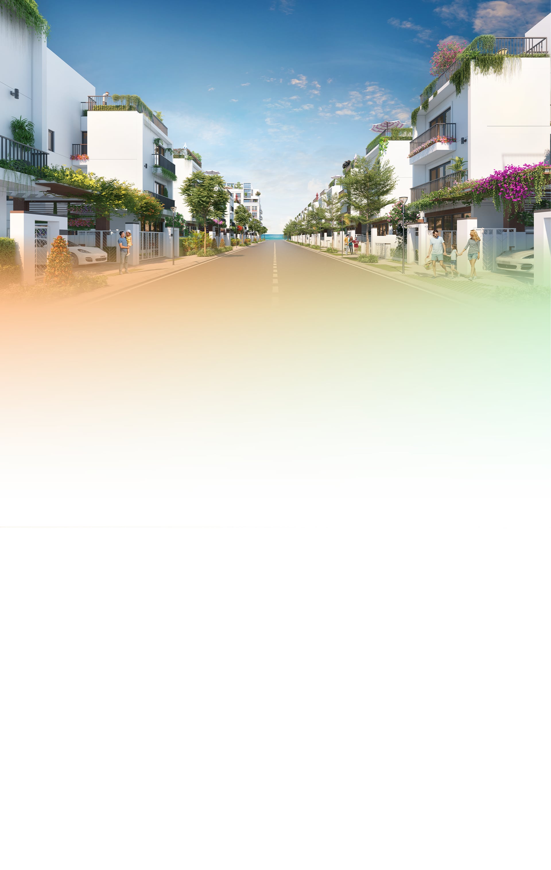 popup-bg-1.jpg